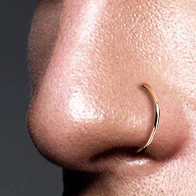 Fake Piering Nose Ring